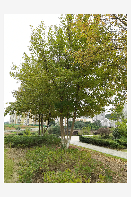 清新自然的户外场所-众图网