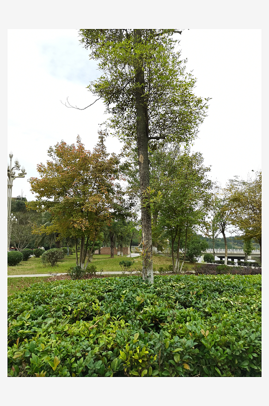 清新自然的户外场所-众图网