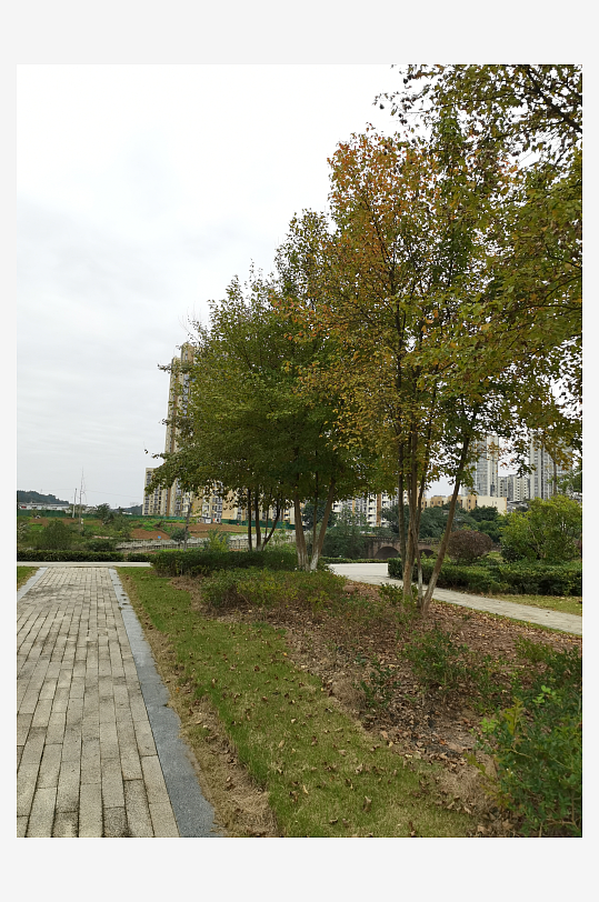 清新自然的户外场所-众图网