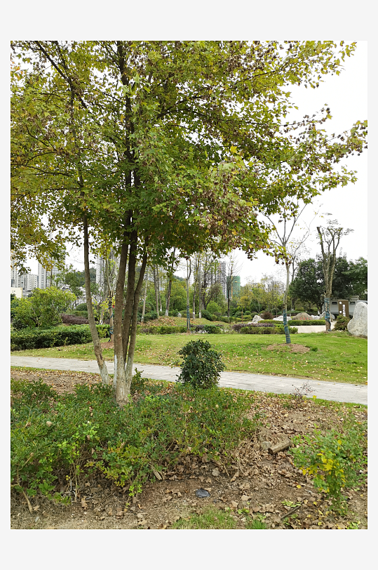 清新自然的户外场所-众图网