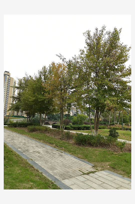 清新自然的户外场所-众图网