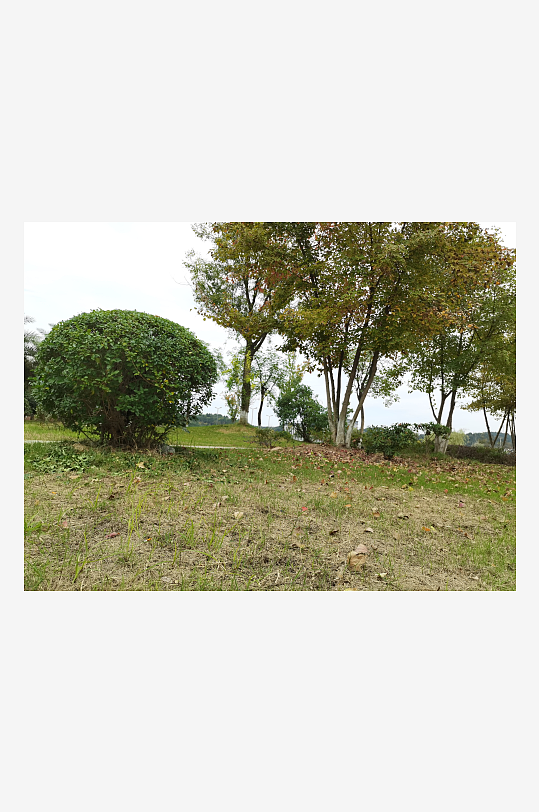 清新自然的休闲场所-众图网