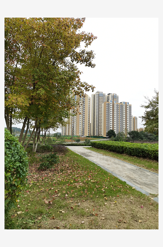 清新自然的休闲场所-众图网