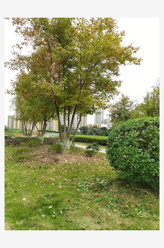 清新自然的休闲场所-众图网