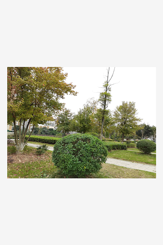 清新自然的生活环境-众图网