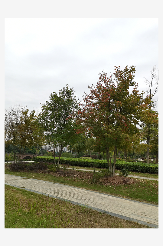 清新自然的生活环境-众图网