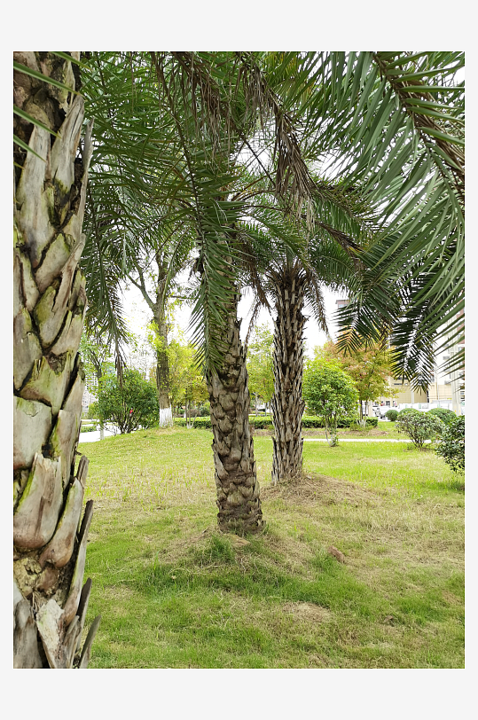 清新自然的生活环境-众图网