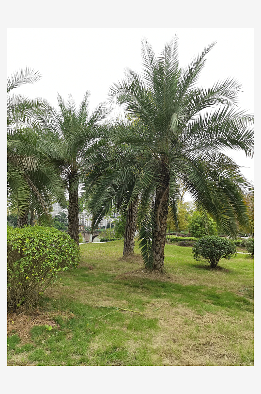 舒适自然的生活环境-众图网