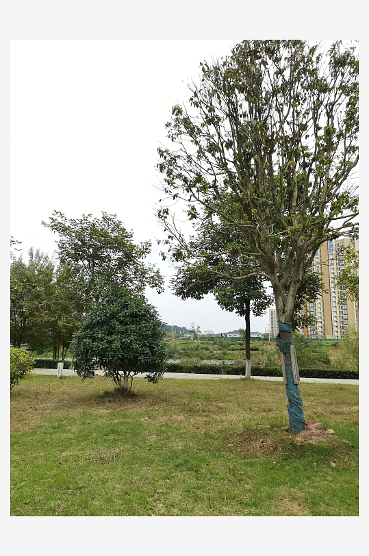 舒适自然的生活环境-众图网