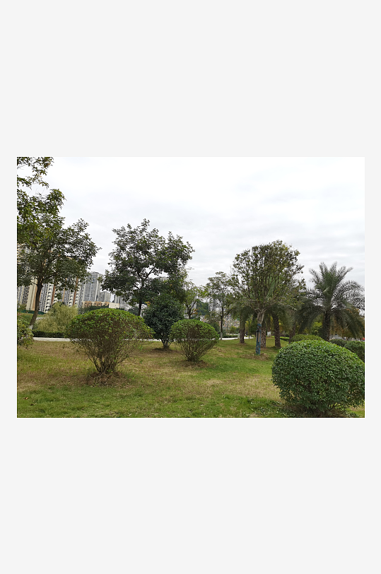 舒适自然的生活环境-众图网