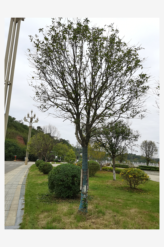 清新自然的生活环境-众图网