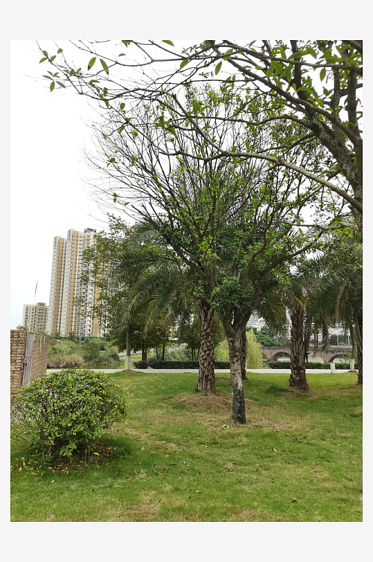 清新自然的生活环境-众图网