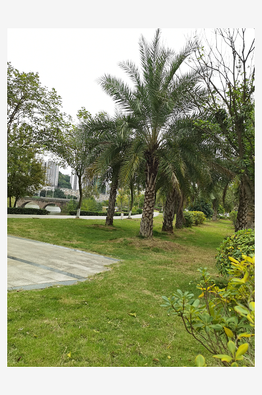 清新自然的生活环境-众图网