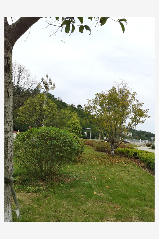 绿意盎然的生活环境-众图网