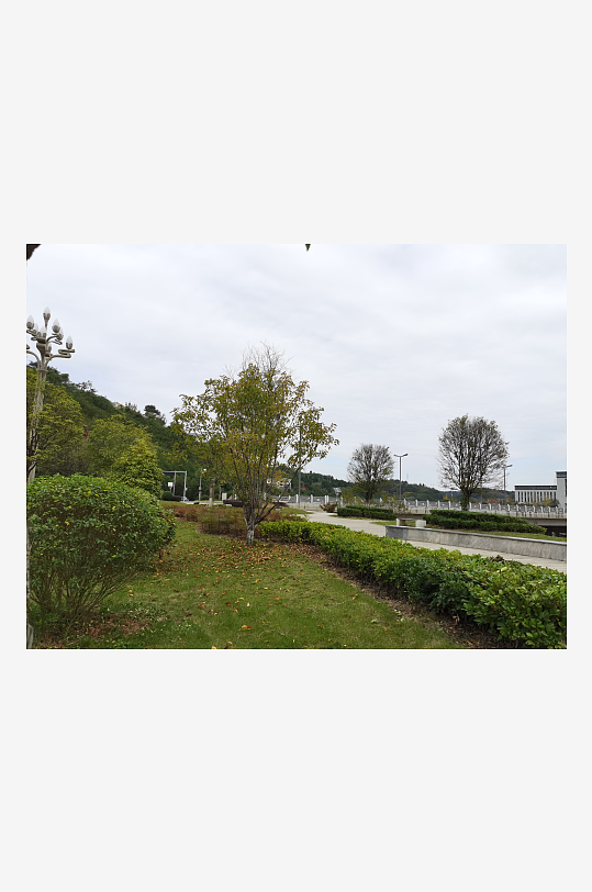 绿意盎然的生活环境-众图网