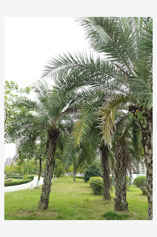 绿意盎然的生活环境-众图网