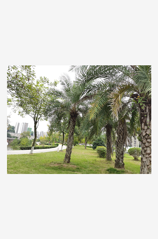 绿意盎然的生活环境-众图网