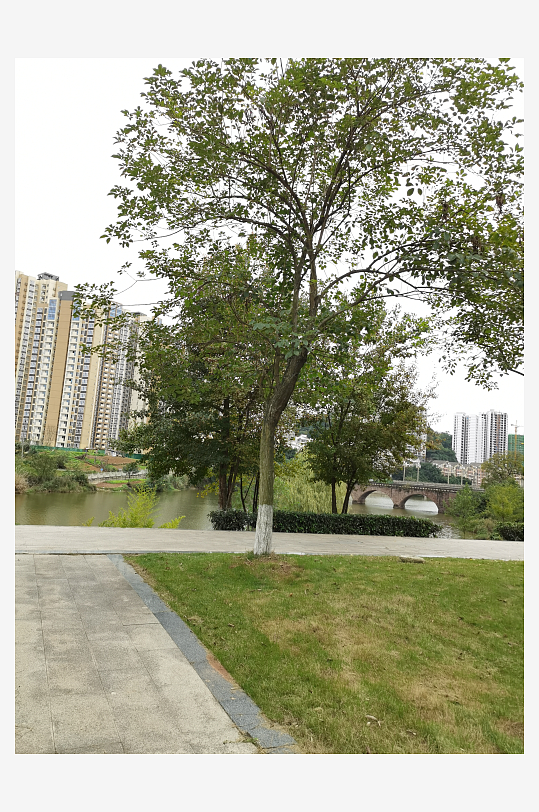 绿意盎然的生活环境-众图网