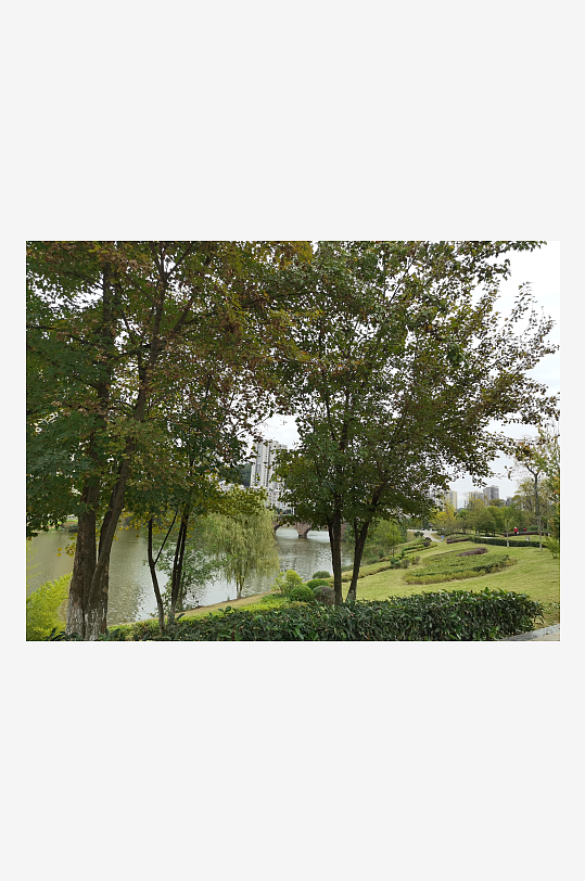 绿意盎然的生活环境-众图网