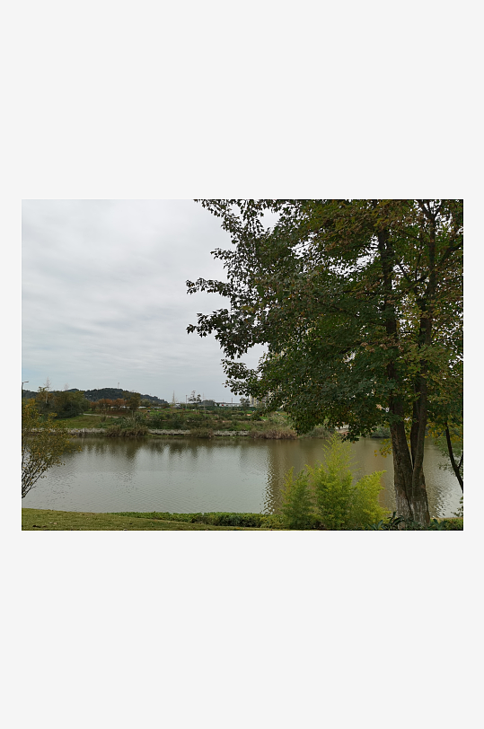 绿意盎然的户外环境-众图网