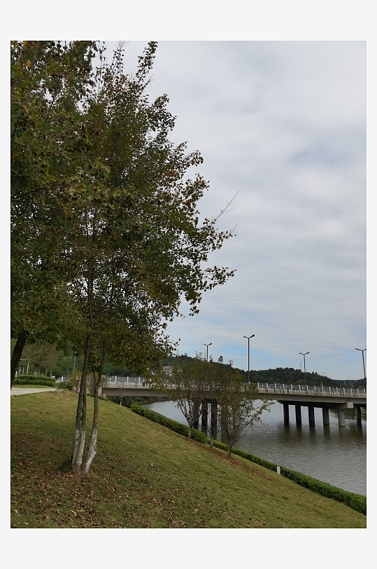 绿意盎然的户外环境-众图网