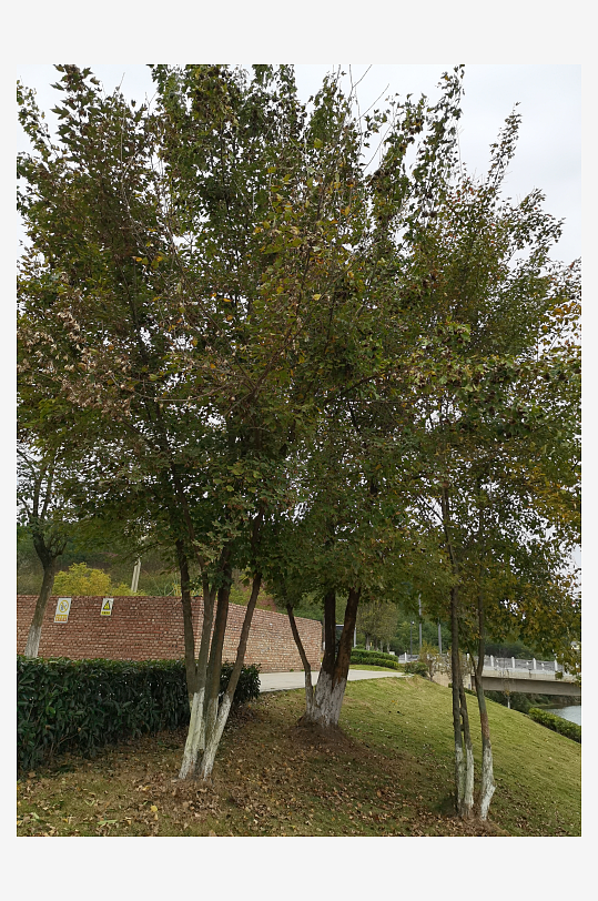 绿意盎然的户外环境-众图网