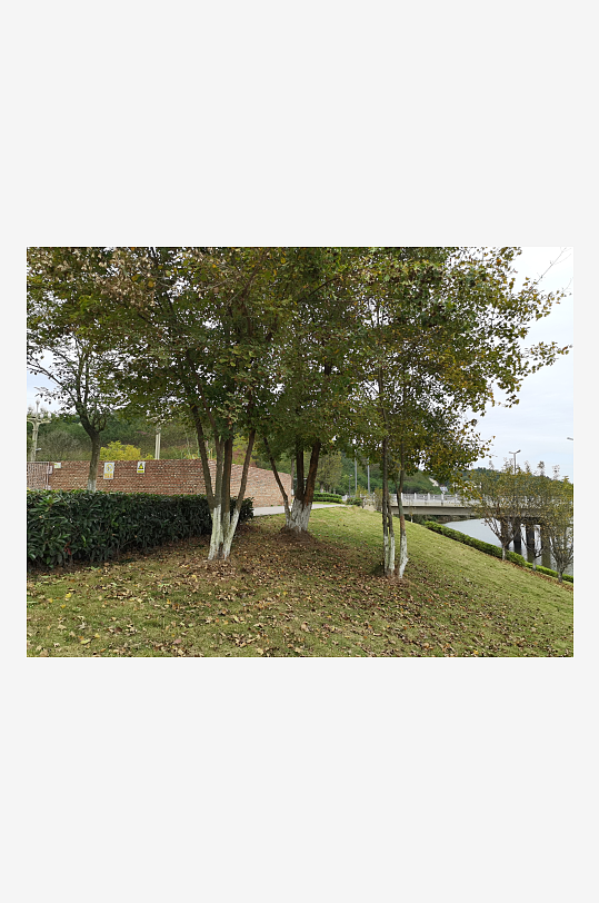 绿意盎然的户外环境-众图网