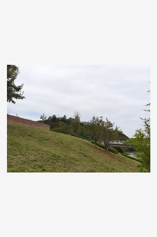 绿意盎然的户外环境-众图网