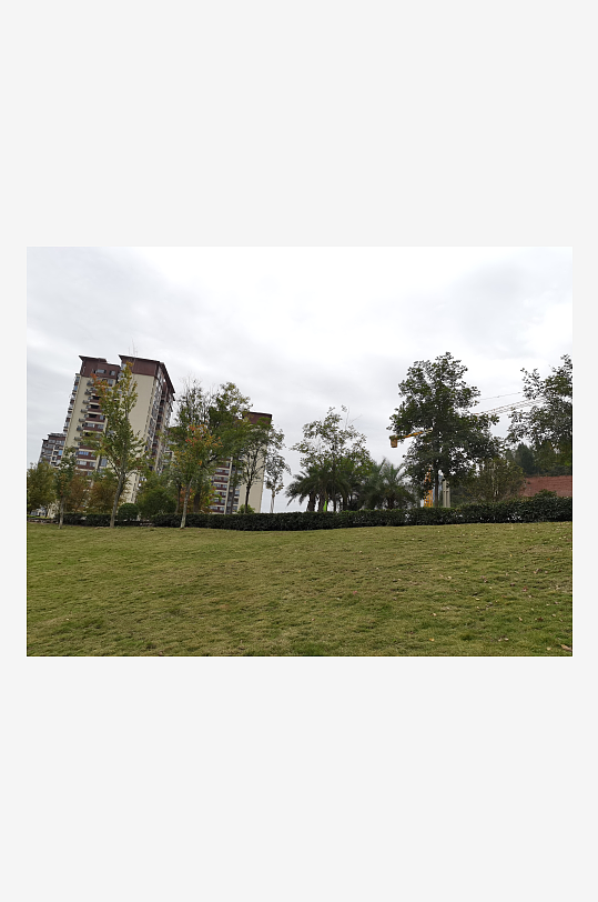 绿意盎然的清新户外-众图网