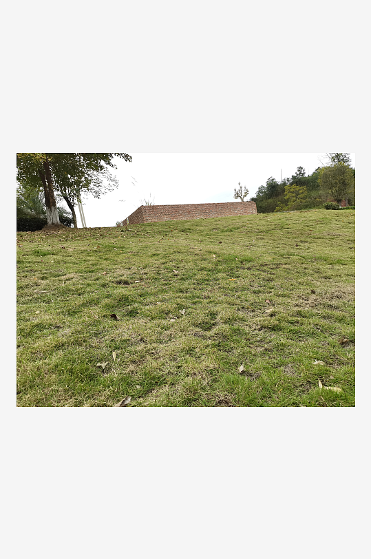 绿意盎然的清新户外-众图网