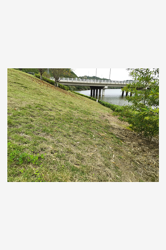 绿意盎然的清新户外-众图网