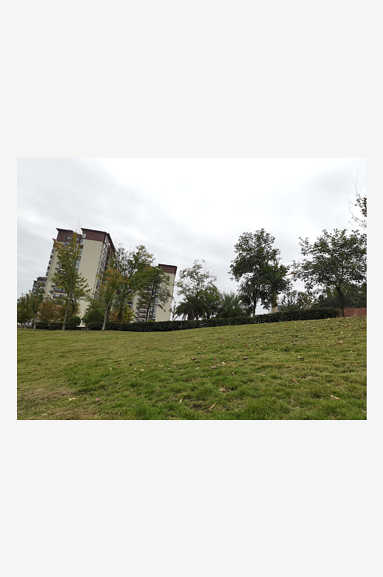 绿意盎然的清新户外-众图网