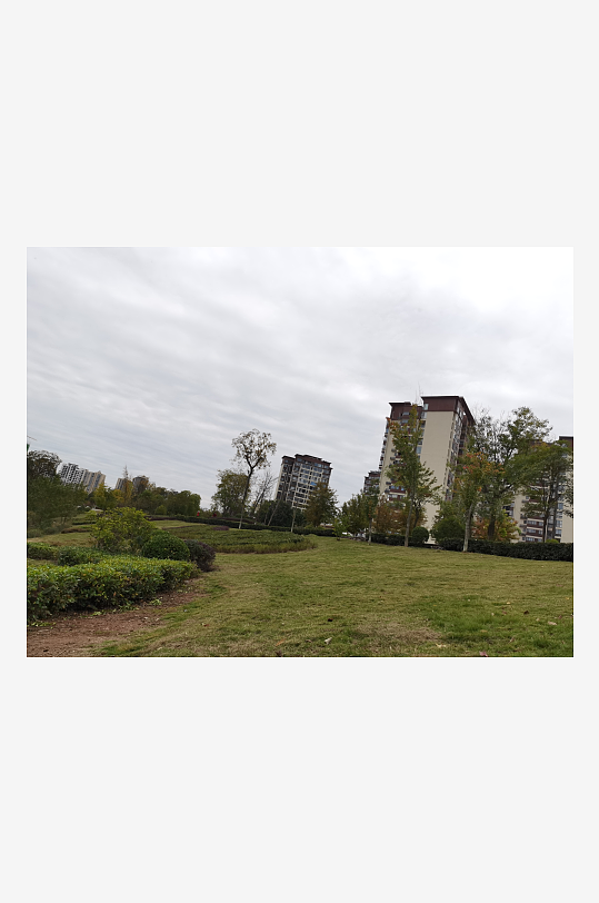 绿意盎然的清新户外-众图网