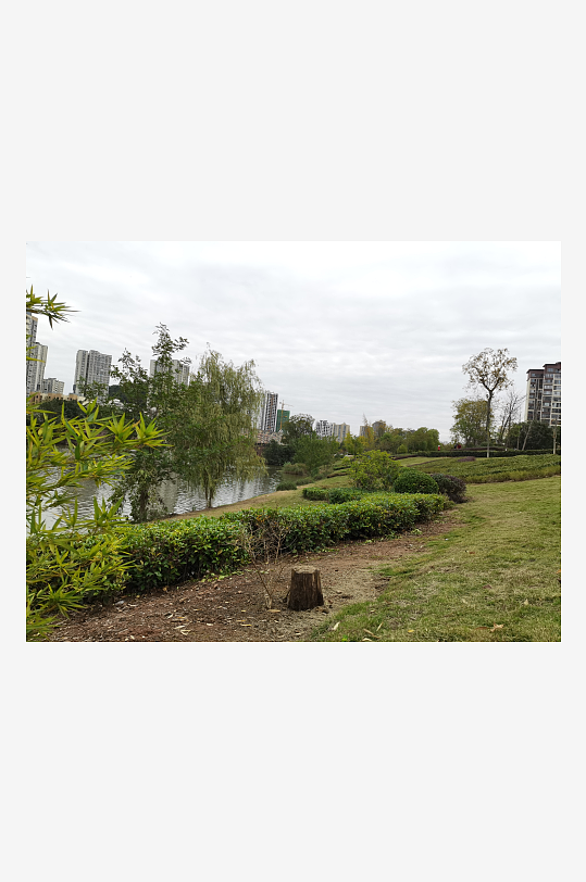 绿意盎然的清新户外-众图网