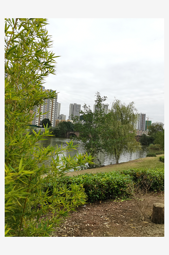 绿意盎然的清新户外-众图网