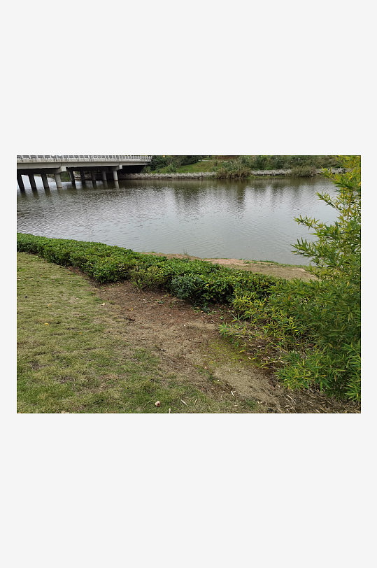 绿意盎然的清新户外-众图网