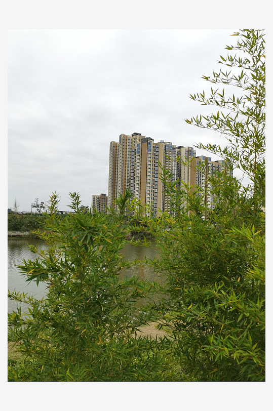 绿意盎然的清新户外-众图网