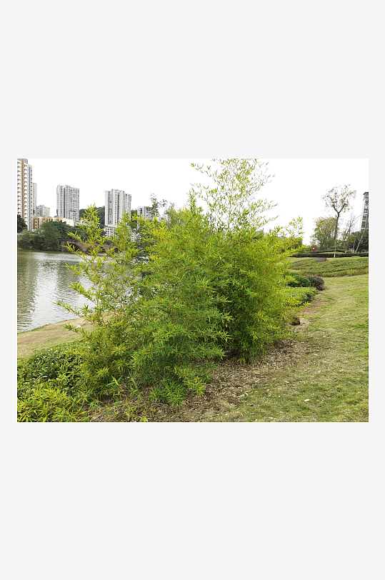 绿意盎然的休闲户外-众图网