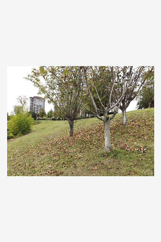 舒适宜居的休闲户外-众图网