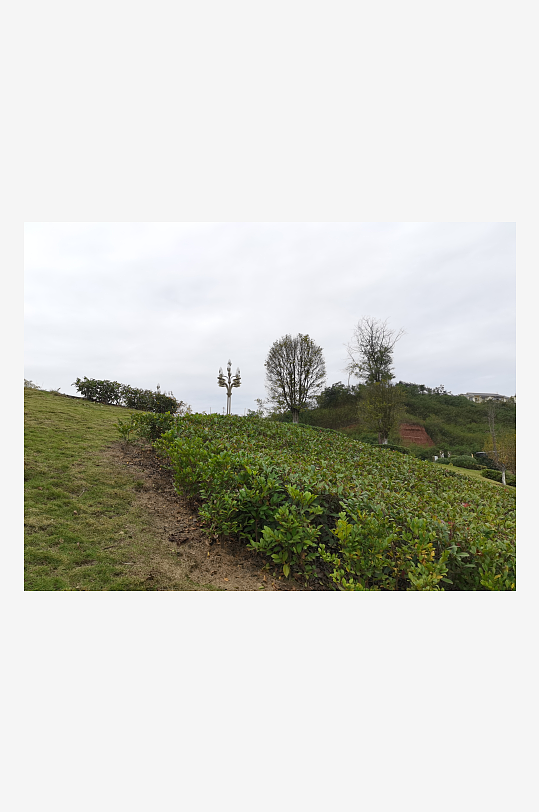 舒适宜居的休闲户外-众图网