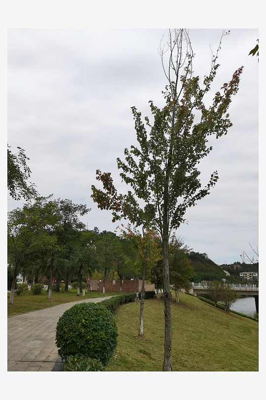 舒适悠闲的城市公园-众图网