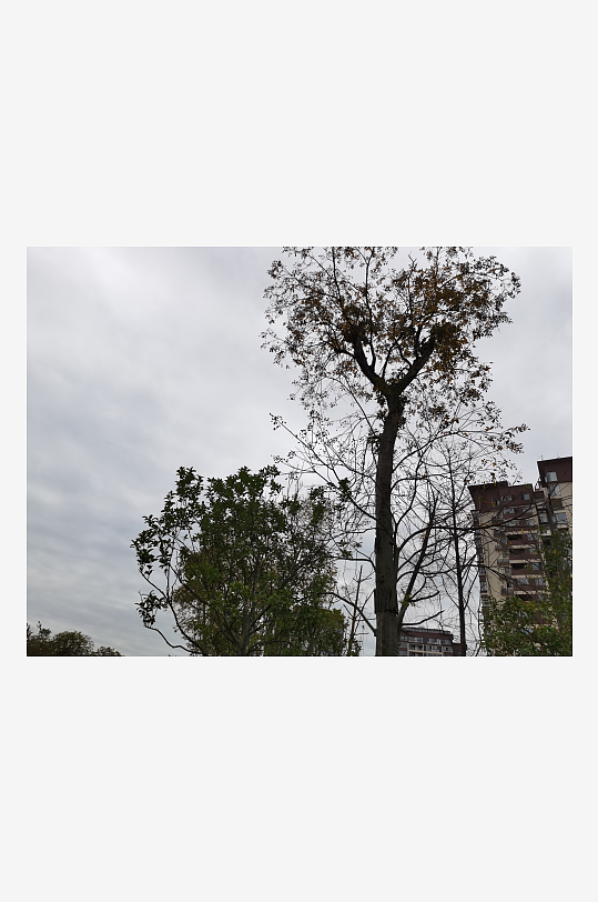 城市建筑与周边绿植-众图网