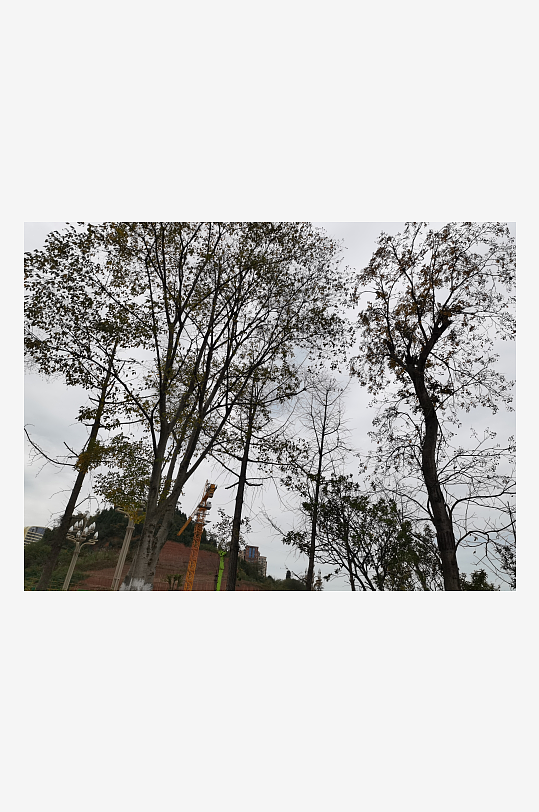 清新舒适的户外环境-众图网