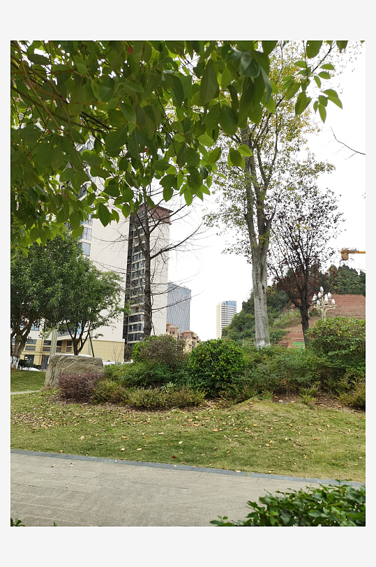 清新舒适的休闲公园-众图网