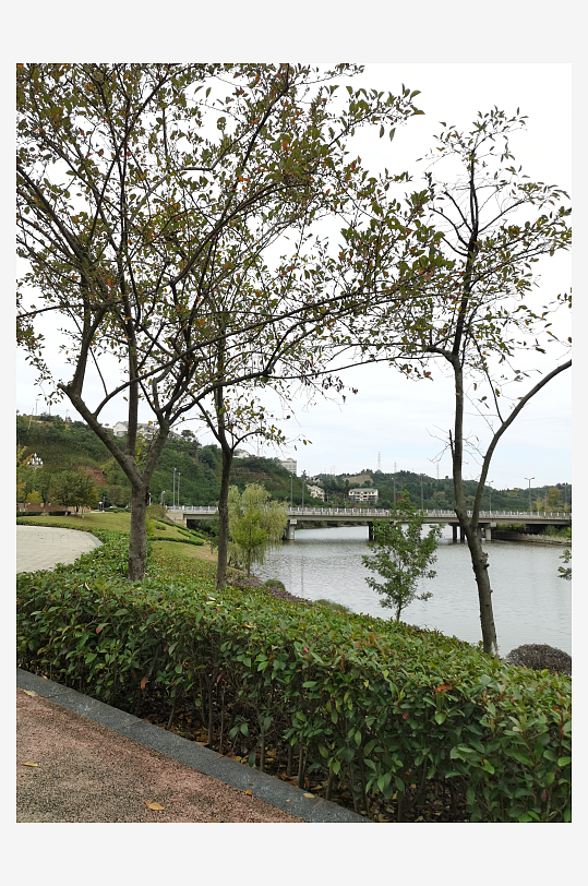 清新舒适的休闲公园-众图网