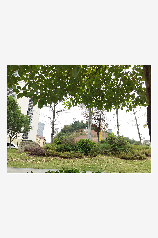 清新舒适的休闲公园-众图网