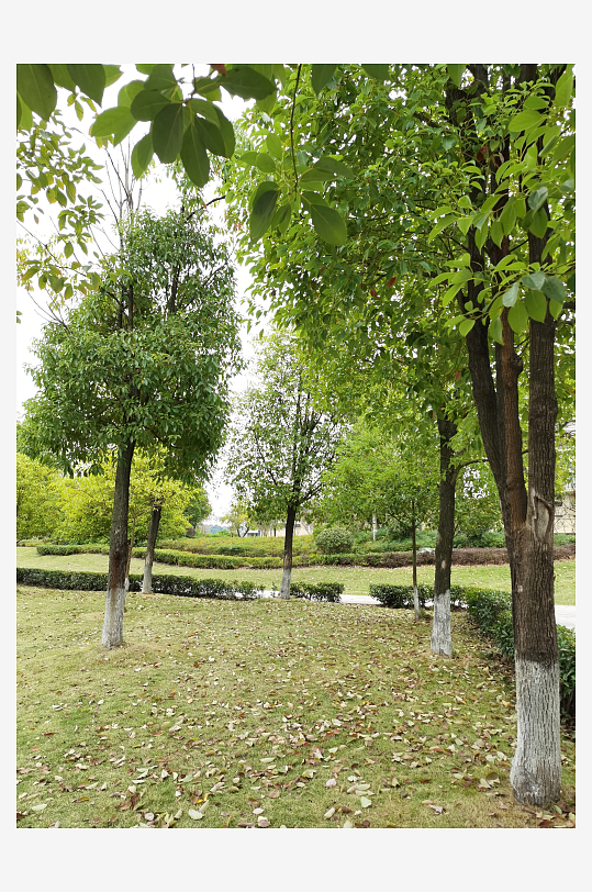 清新舒适的休闲公园-众图网