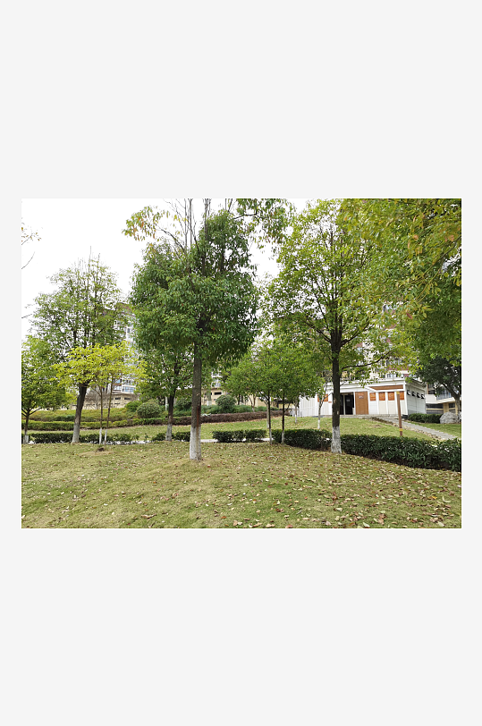 清新舒适的休闲公园-众图网