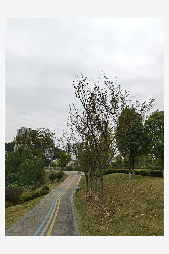 清新生态的休闲公园-众图网