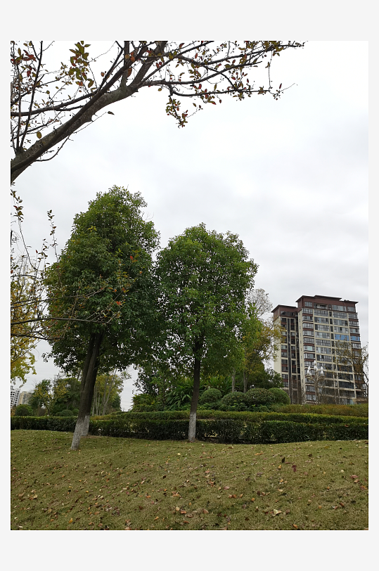 清新生态的休闲公园-众图网